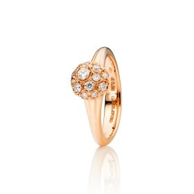 Roségold, Ringe, Capolavoro Ring Fiore Magico RI9BRW02583